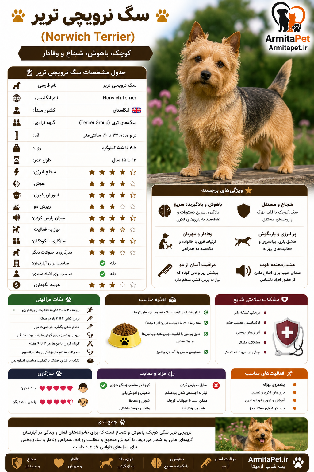 نرویچی تریر (Norwich Terrier).png