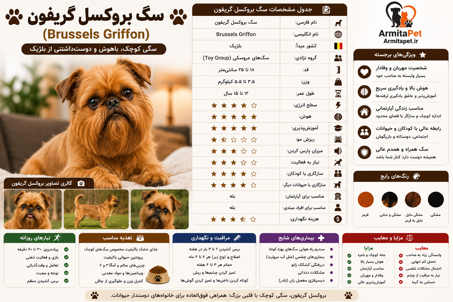 معرفی کامل سگ بروکسل گریفون (Brussels Griffon).png