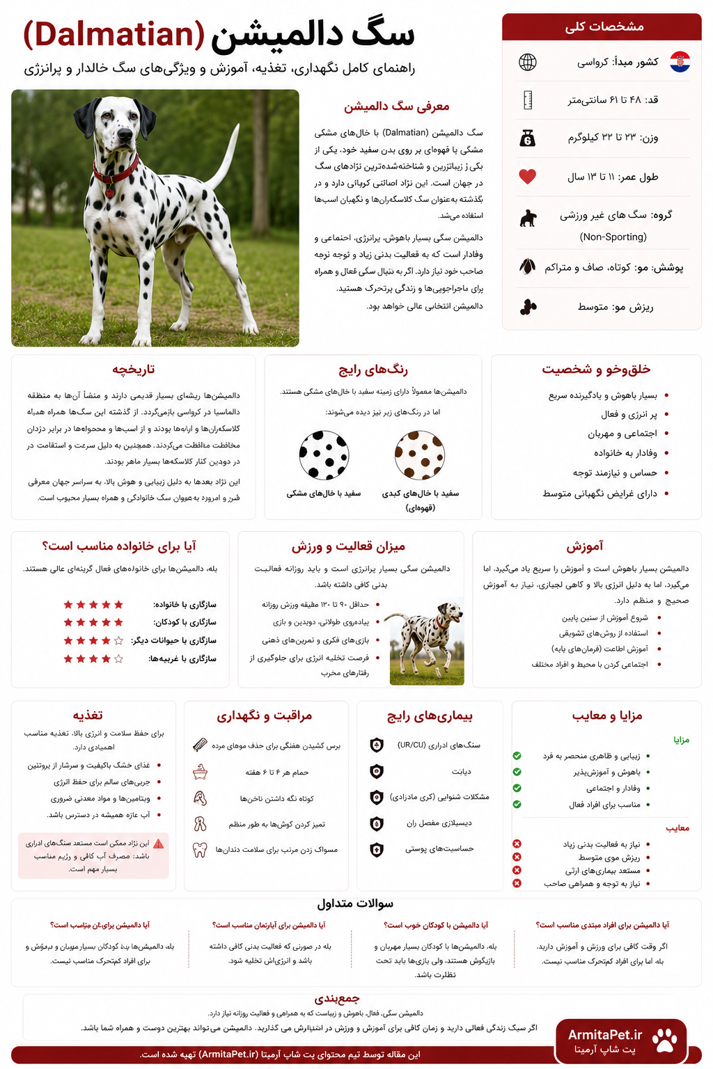 سگ دالمیشن.png