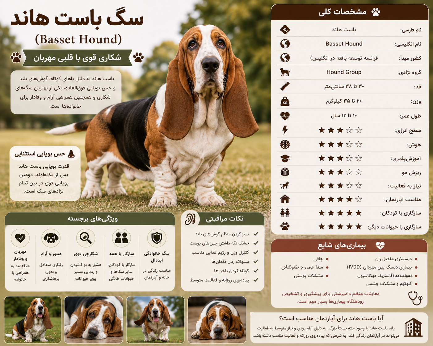 معرفی سگ باست هاند.png