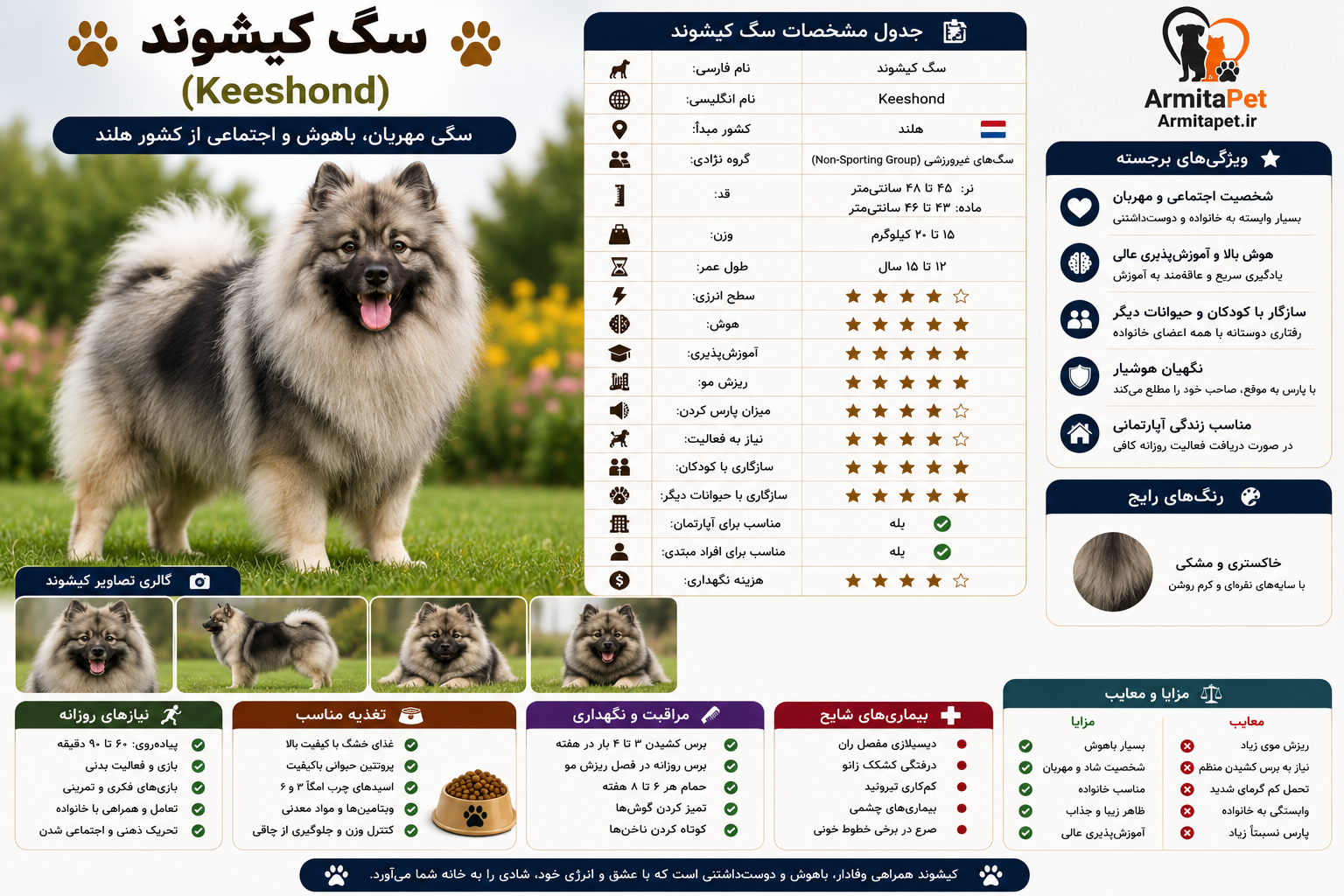 سگ کیشوند (Keeshond).png