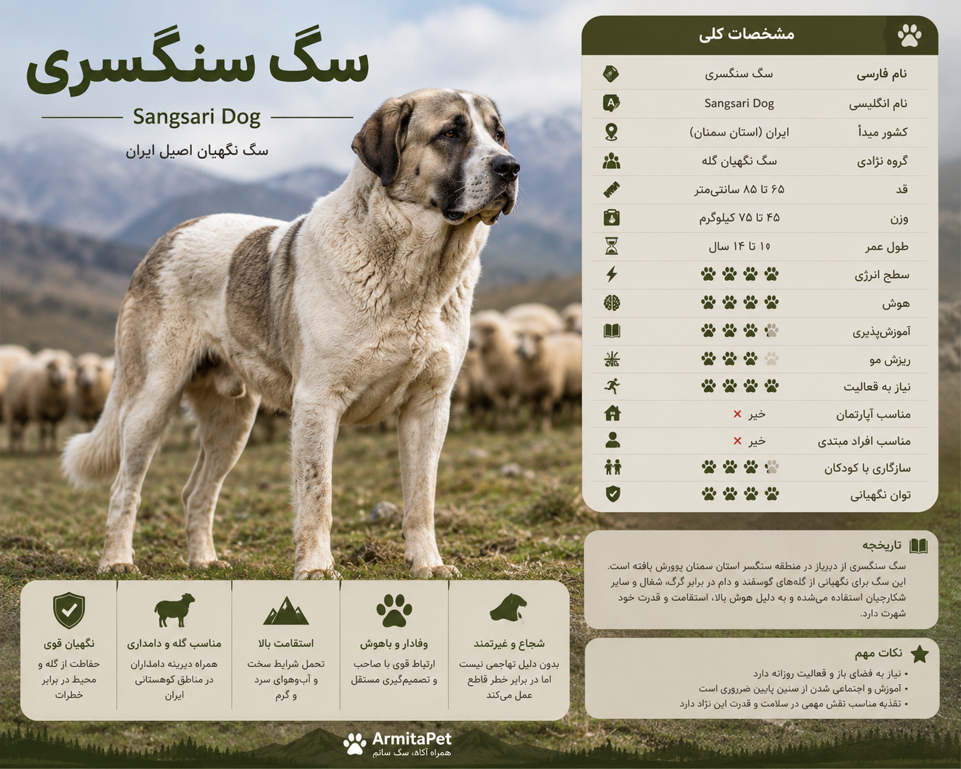 سگ سنگسری.png