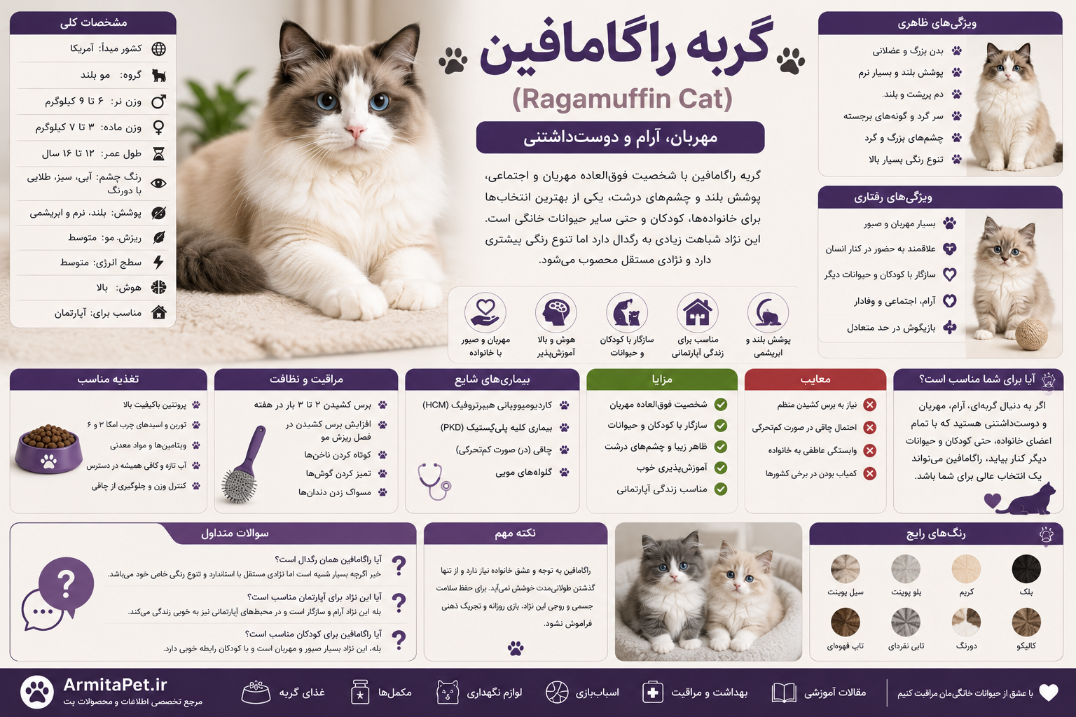 معرفی گربه راگامافین.png