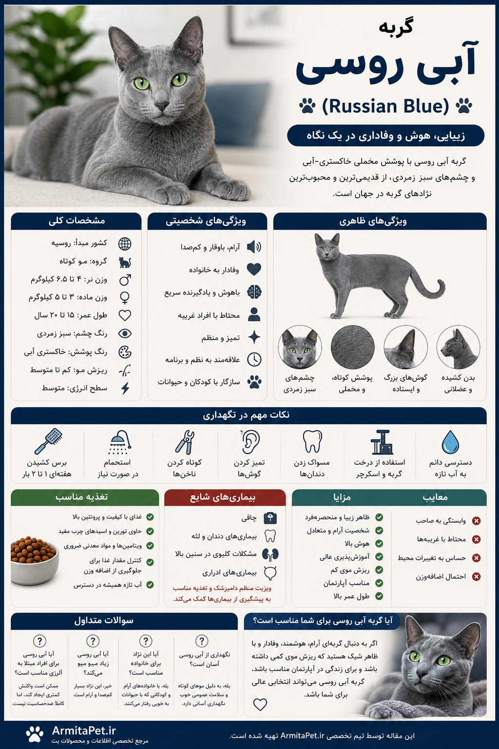 معرفی گربه آبی روسی.png