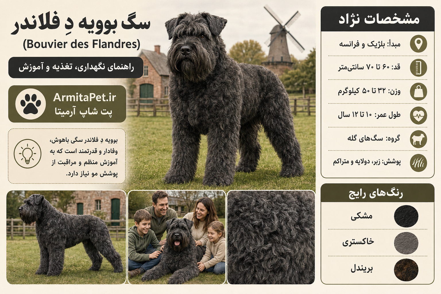 سگ بوویه دِ فلاند.png