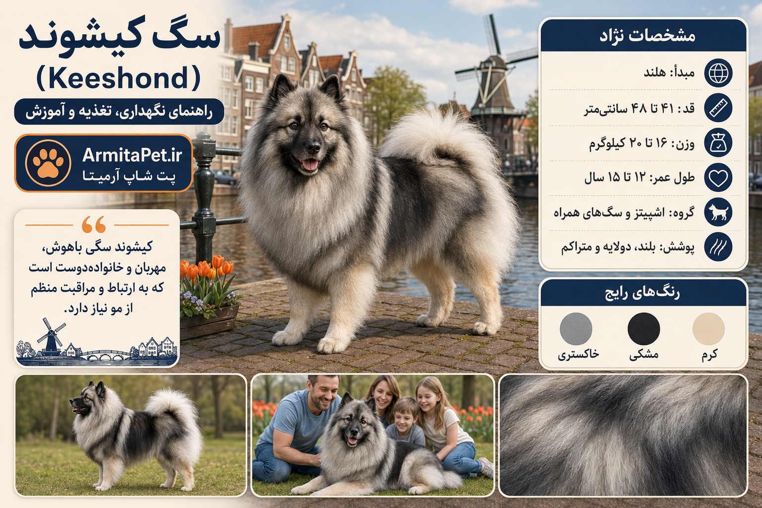 سگ کیشوند؛.png