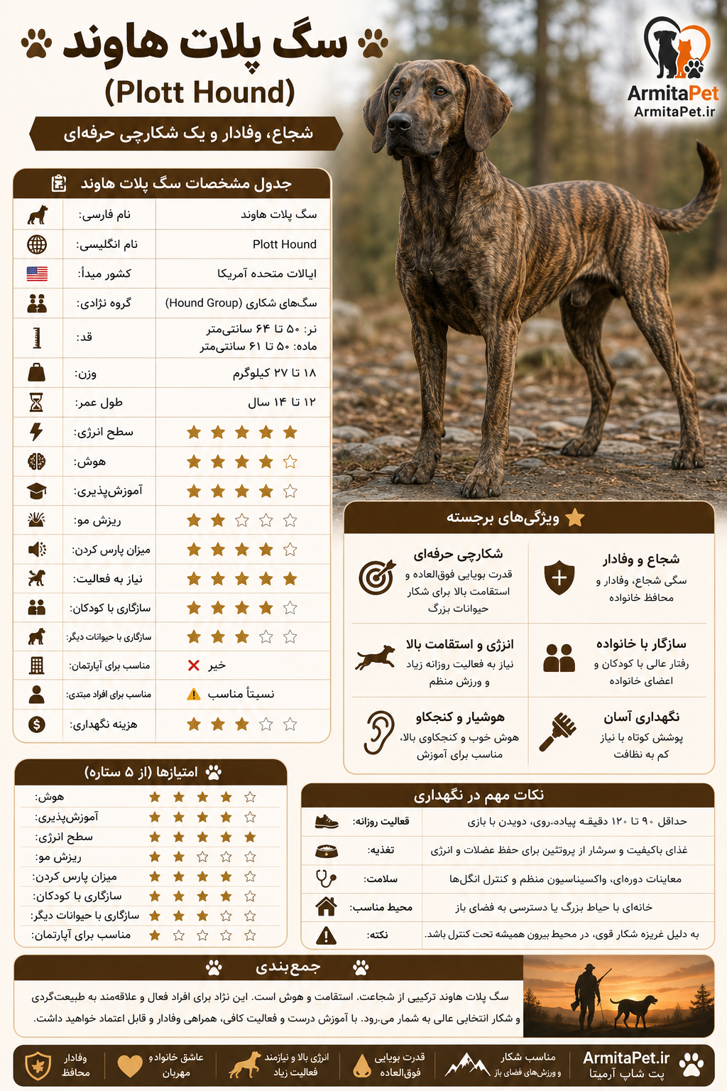 سگ پلات هاوند.png