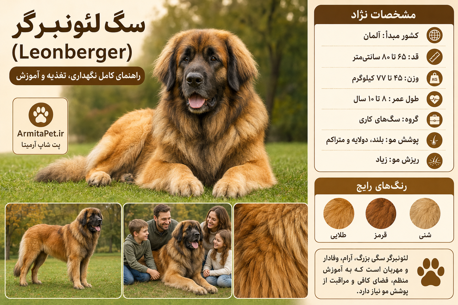 سگ لئونبرگر (Leonberger).png