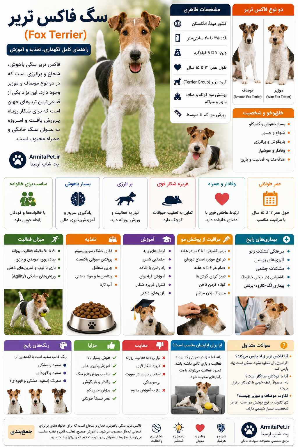 سگ فاکس تریر (Fox Terrier).png