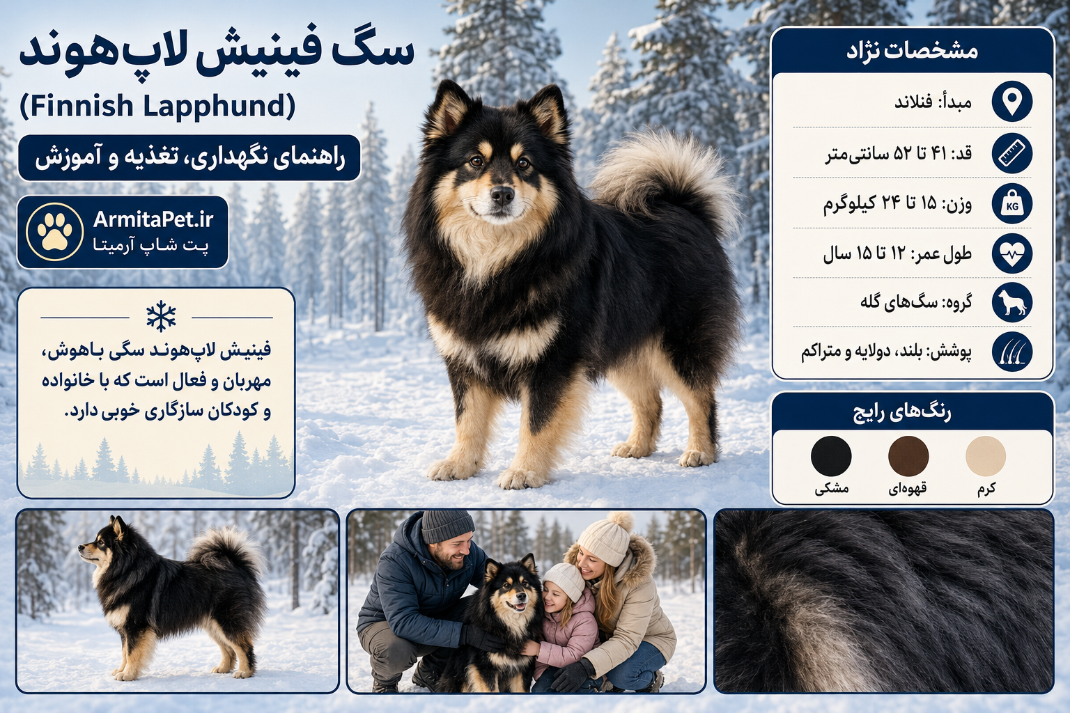 فینیش لاپهوند (Finnish Lapphund).png
