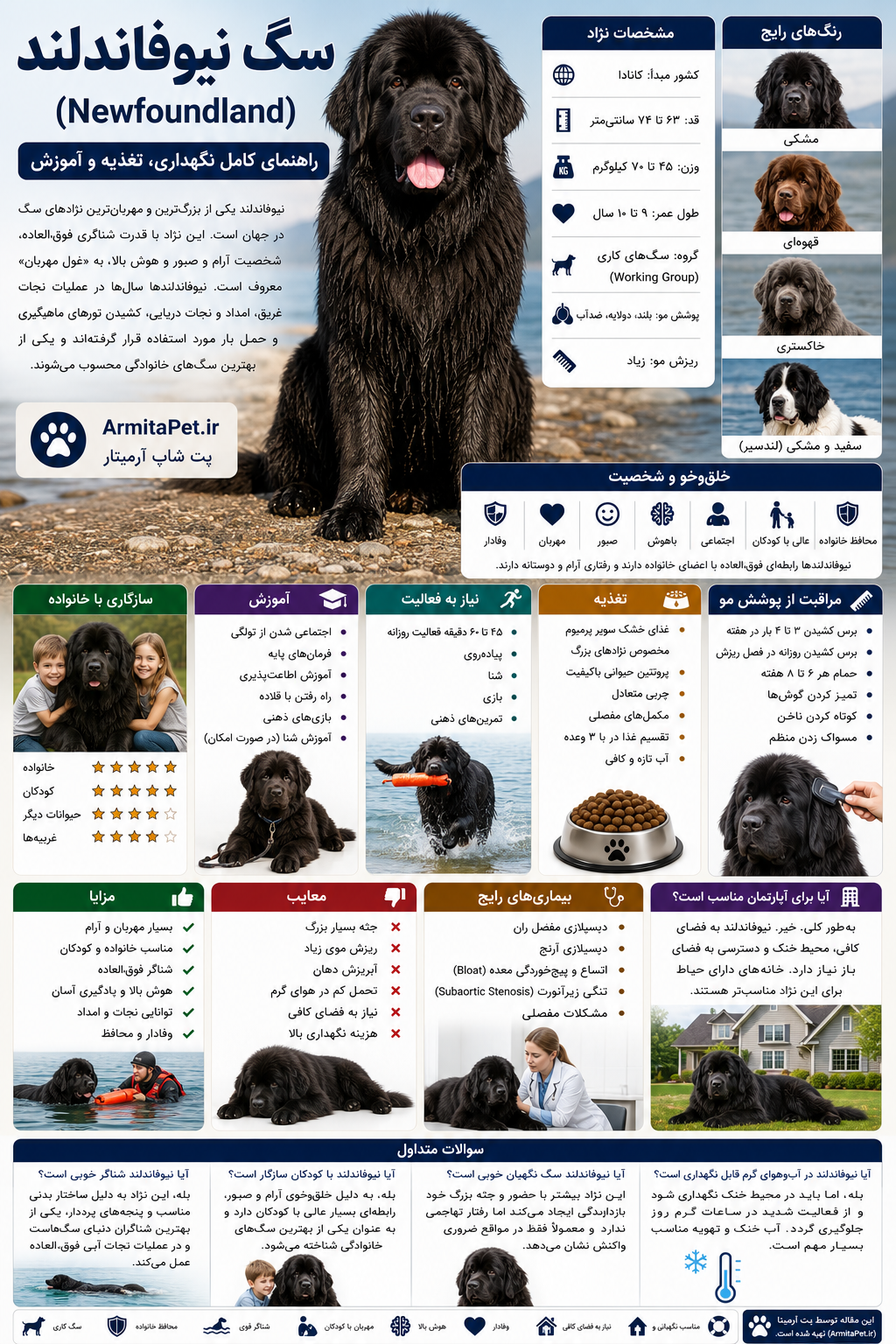 سگ نیوفاندلند، Newfoundland.png