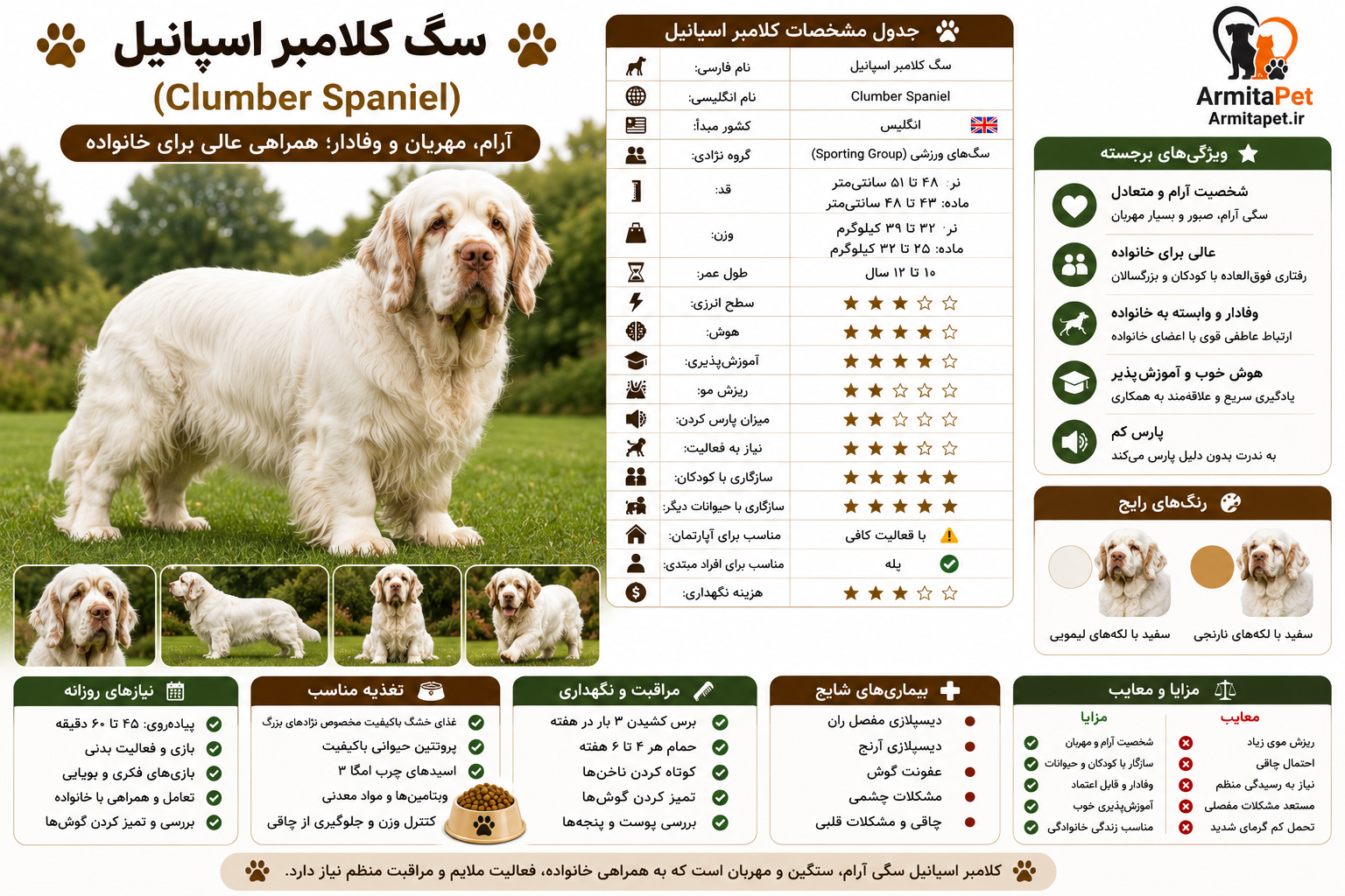 معرفی کامل سگ کلامبر اسپانیل (Clumber Spaniel).png
