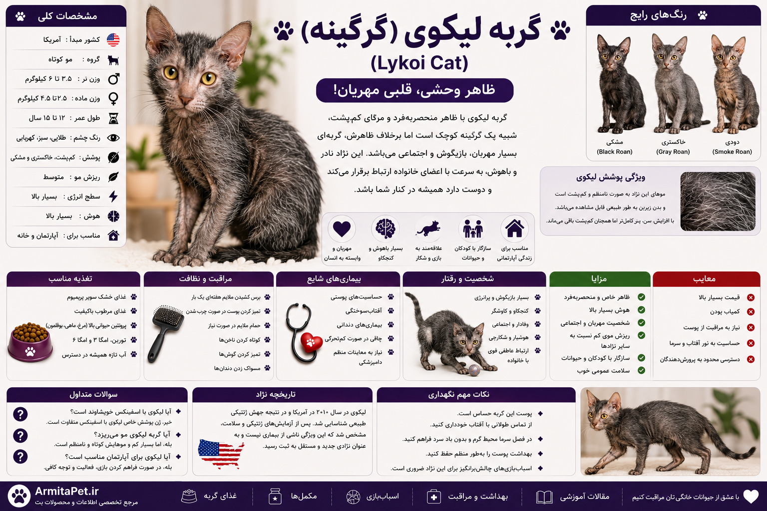 معرفی گربه لیکوی.png