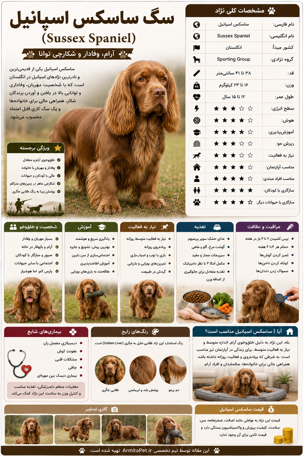 سگ ساسکس اسپانیل.png