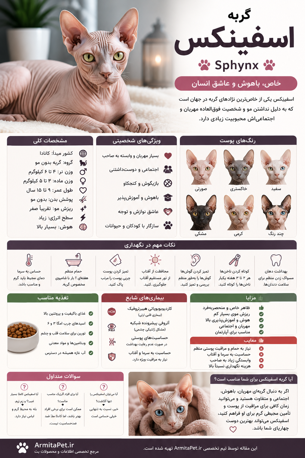 معرفی گربه اسفینکس.png