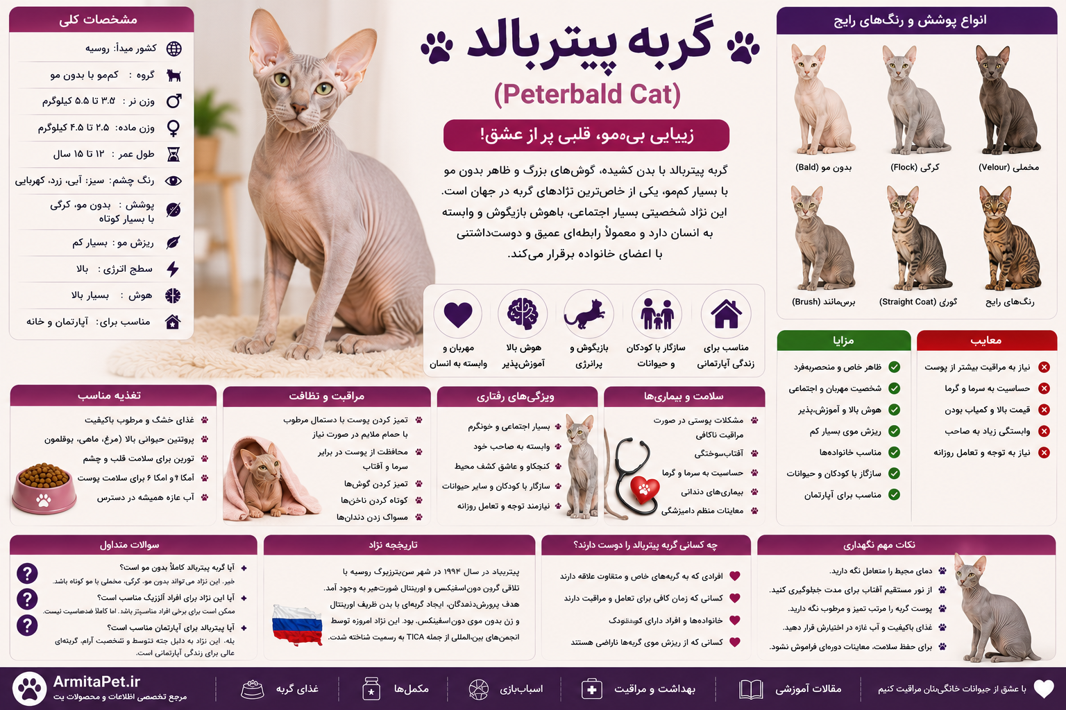گربه پیتربالد.png