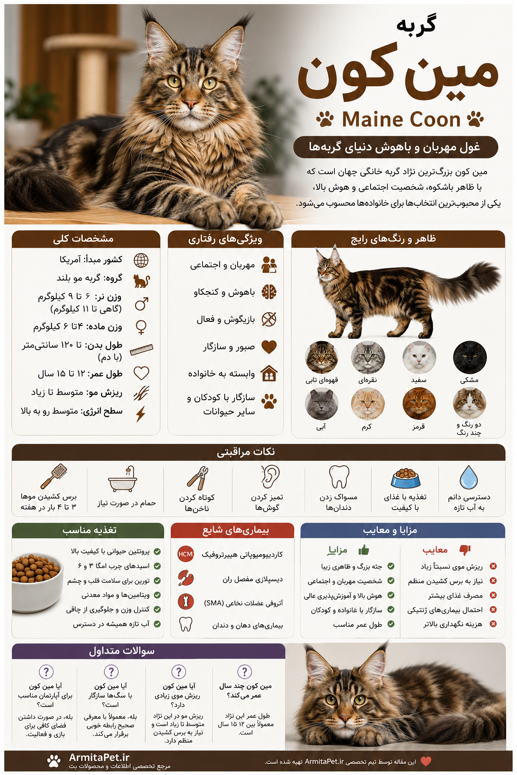 معرفی گربه مین کون.png