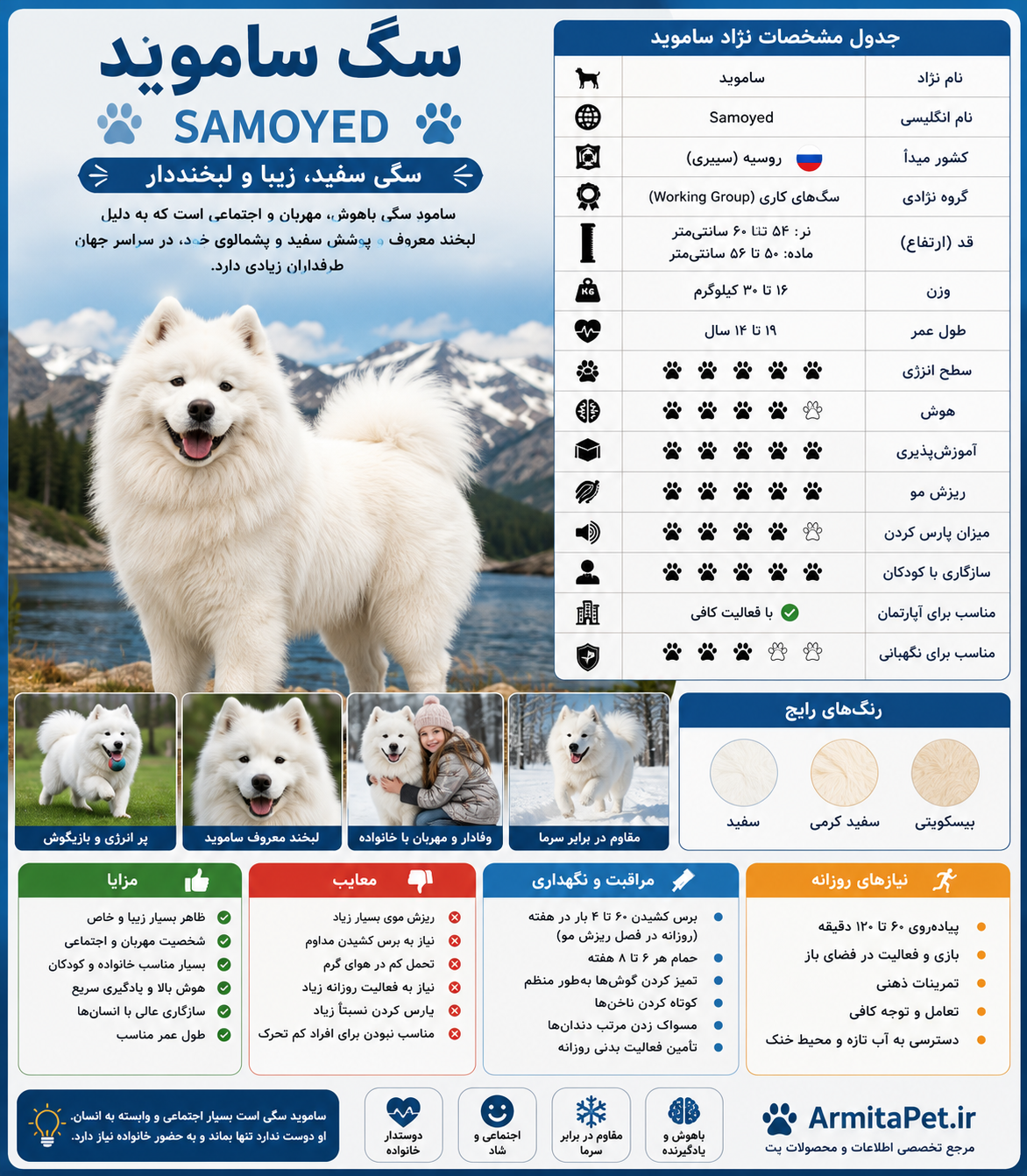 سگ ساموید.png