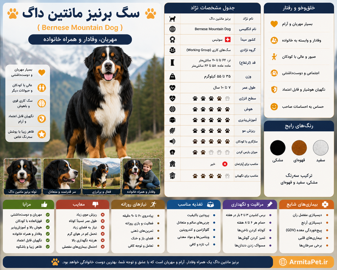 سگ برنیز مانتین داگ.png
