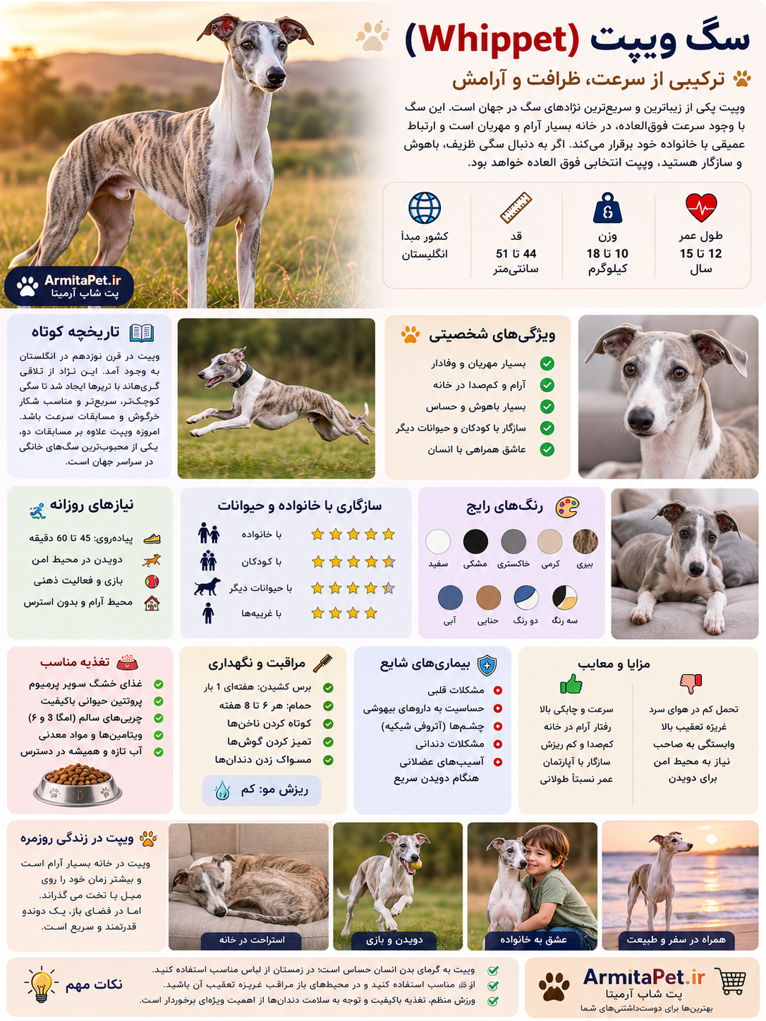 سگ ویپت، Whippet، نسگ ویپت.png