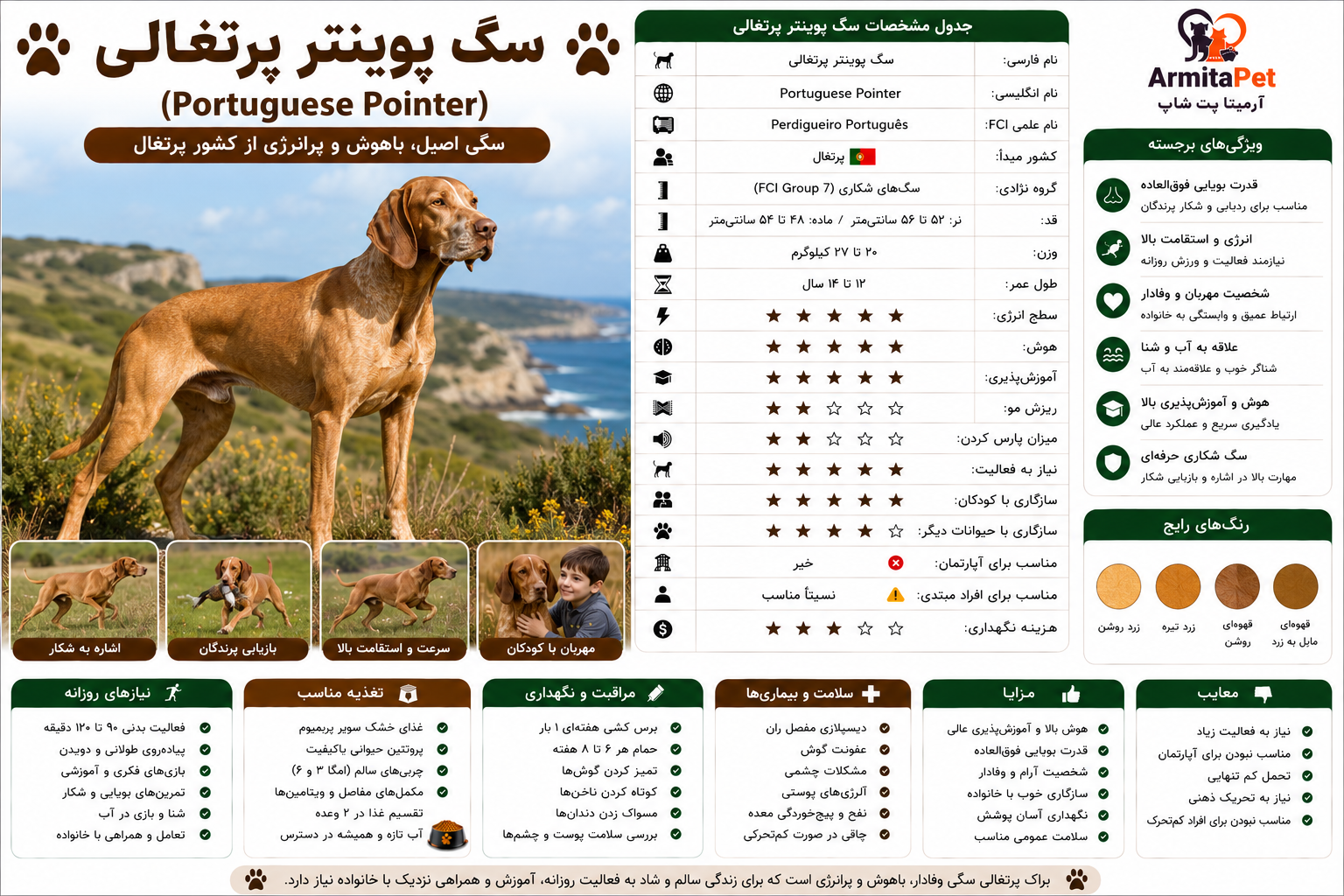 سگ پوینتر پرتغالی.png