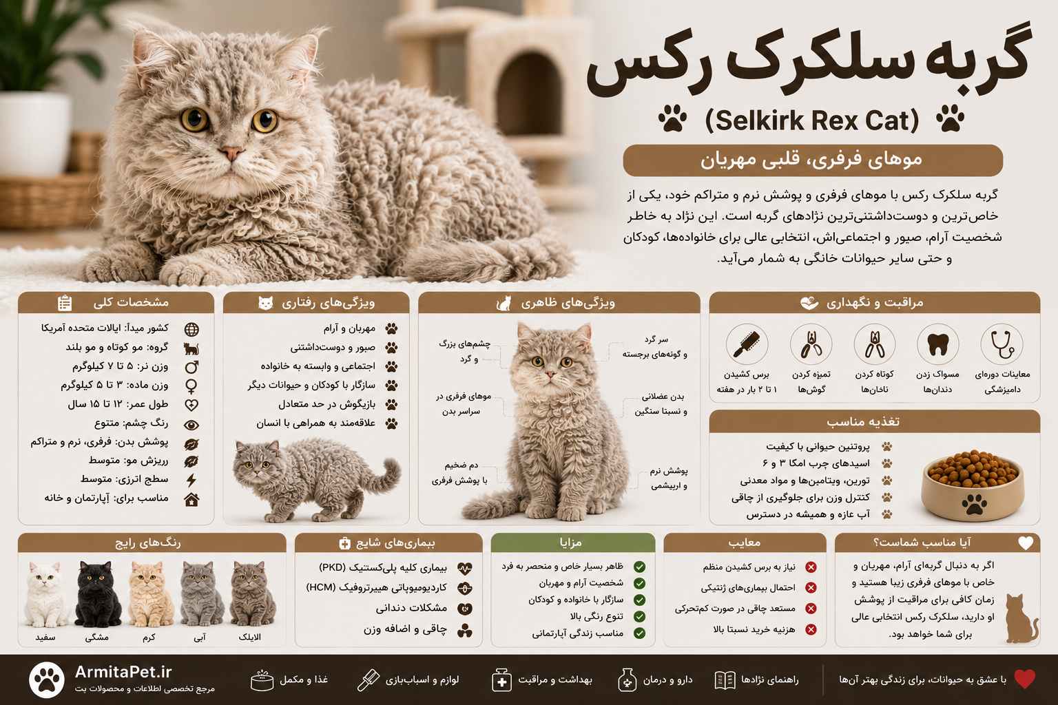 گربه سلکرک رکس (Selkirk Rex).png