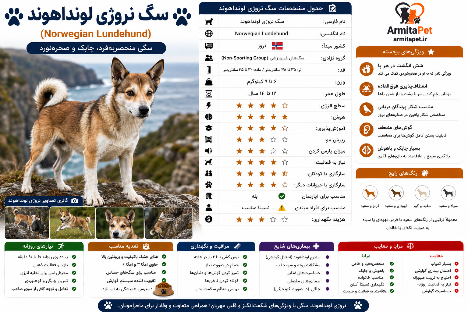سگ نروژی لونداهوند.png