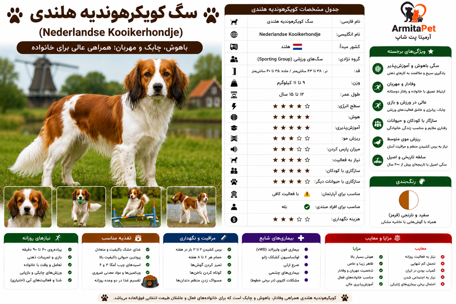 سگ کویکرهوندیه هلندی.png