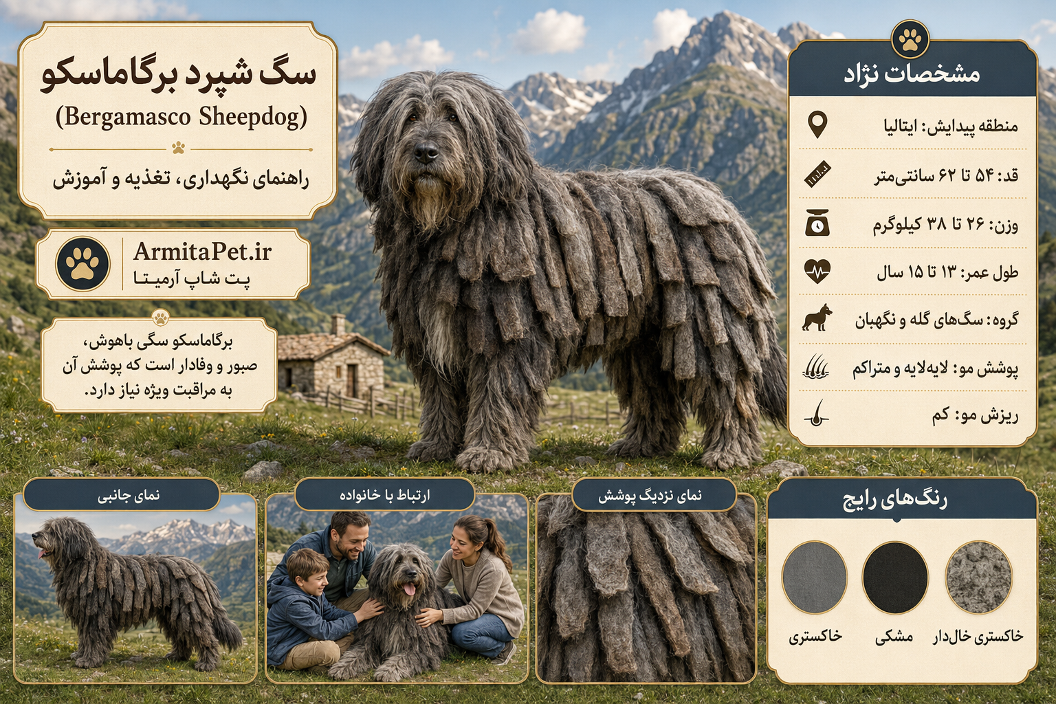 سگ شپرد برگاماسکو.png