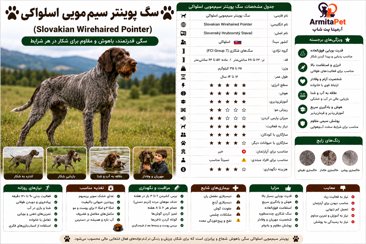 معرفی سگ پوینتر سیممویی اسلواکی.png