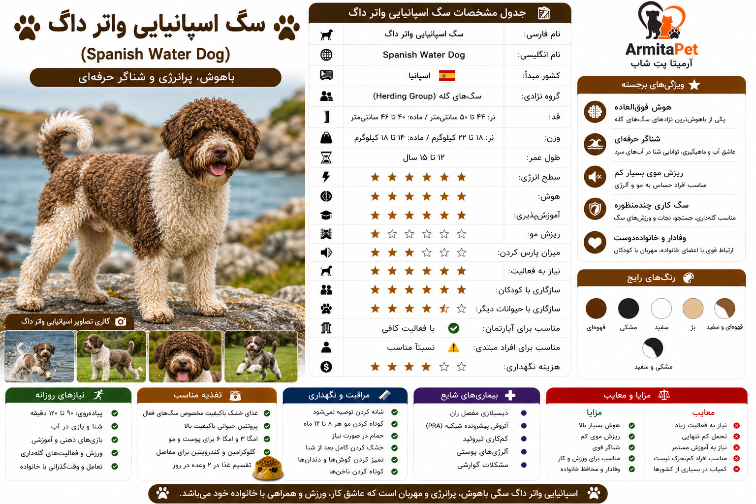 سگ اسپانیایی واتر داگ.png
