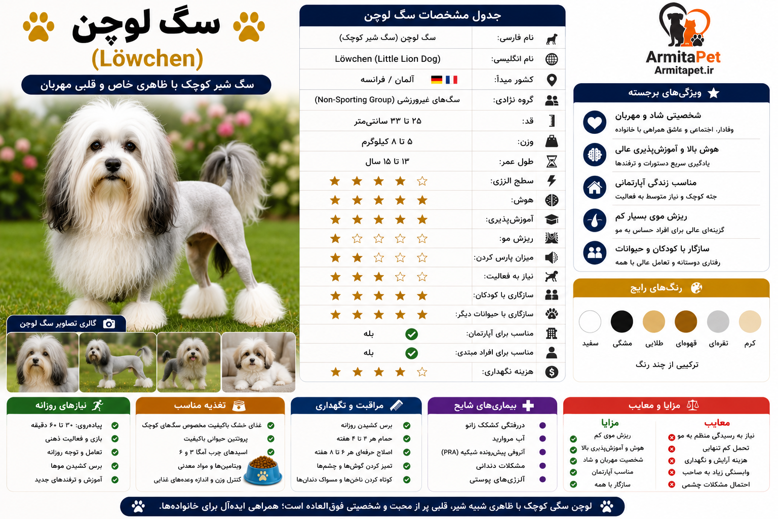 معرفی کامل سگ لوچن (Löwchen).png