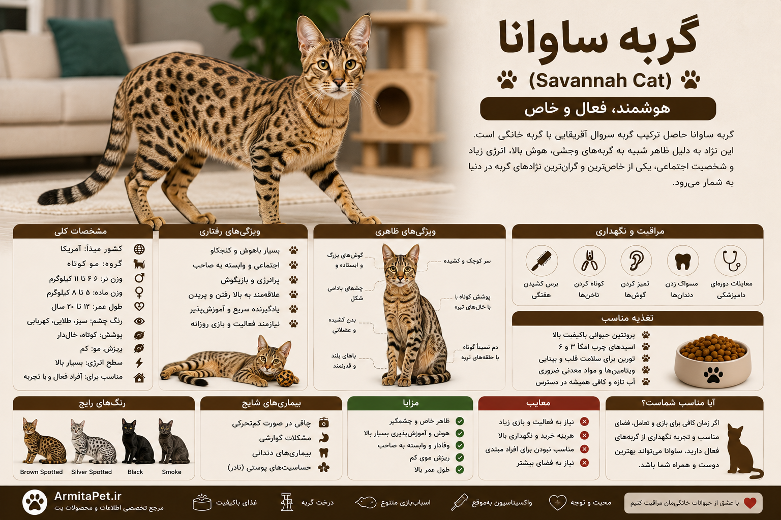 معرفی گربه ساوانا.png