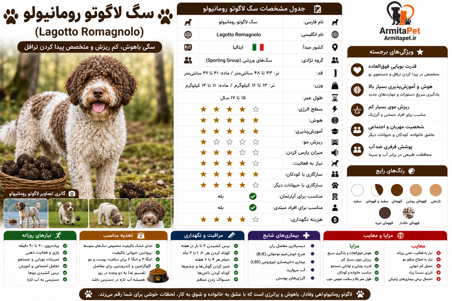 سگ لاگوتو رومانیولو.png