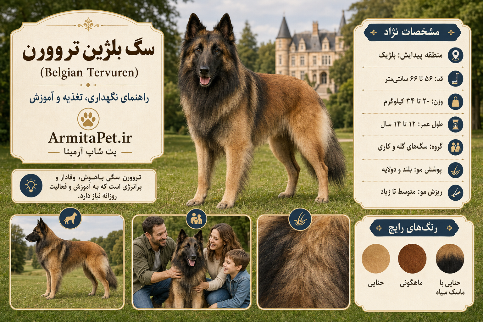 سگ بلژین تروورن.png