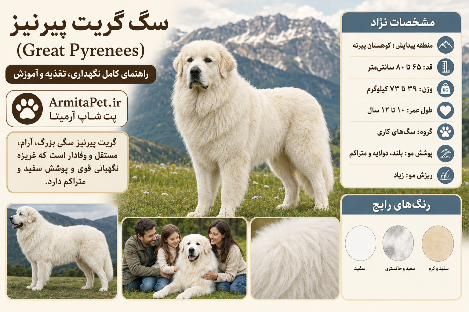 سگ گریت پیرنیز.png