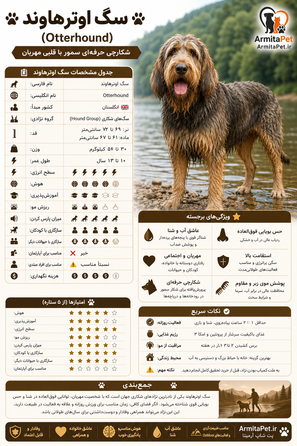 سگ اوترهاوند (Otterhound).png