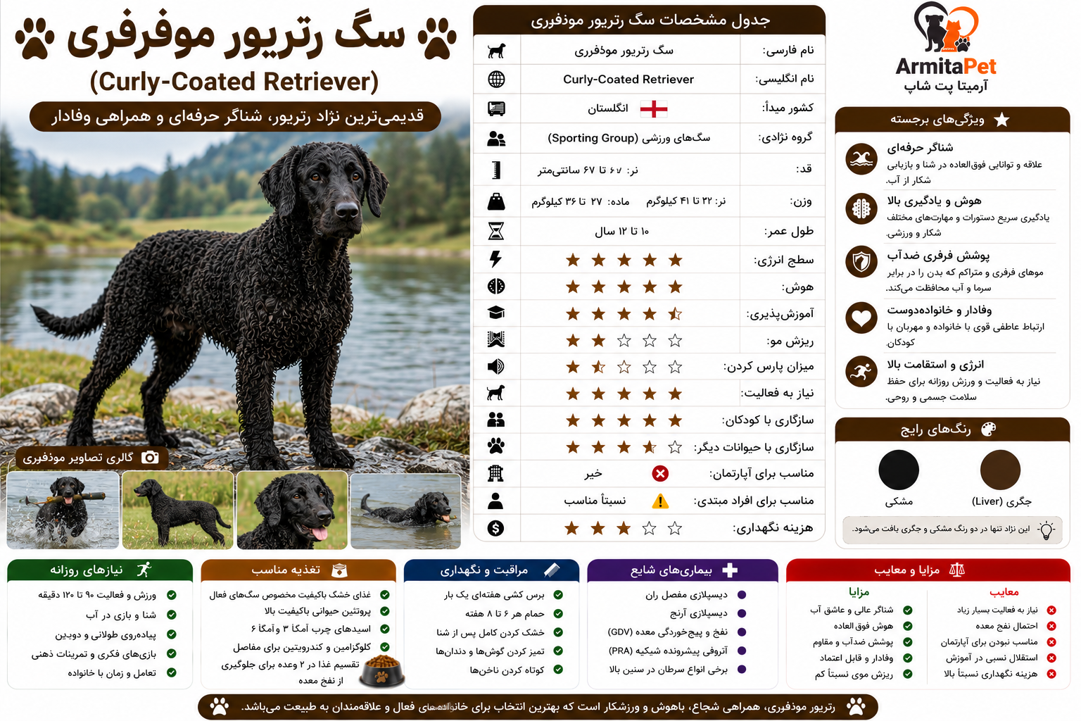 سگ رتریور موفرفری.png