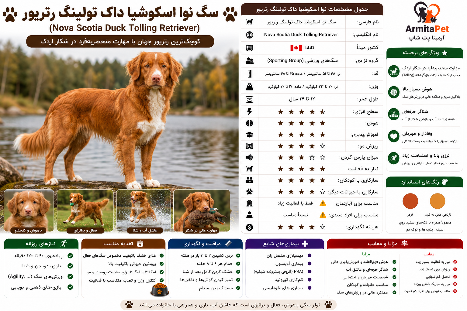 داک تولینگ رتریور.png