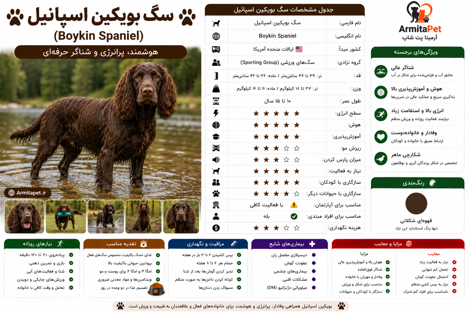 سگ بویکین اسپانیل.png