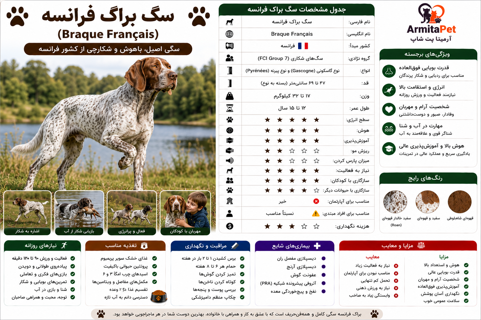سگ براک فرانسه.png