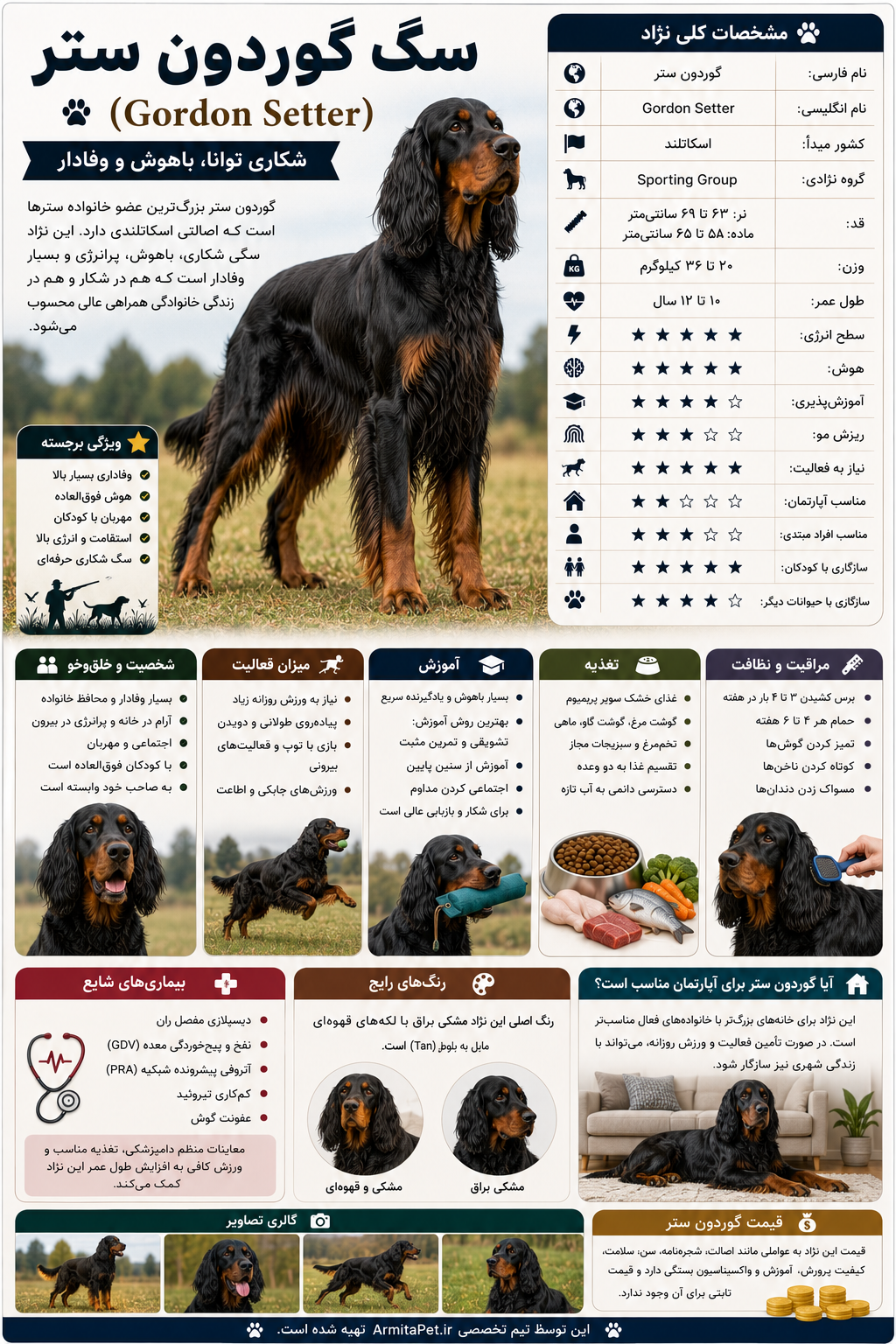 معرفی سگ گوردون ستر.png