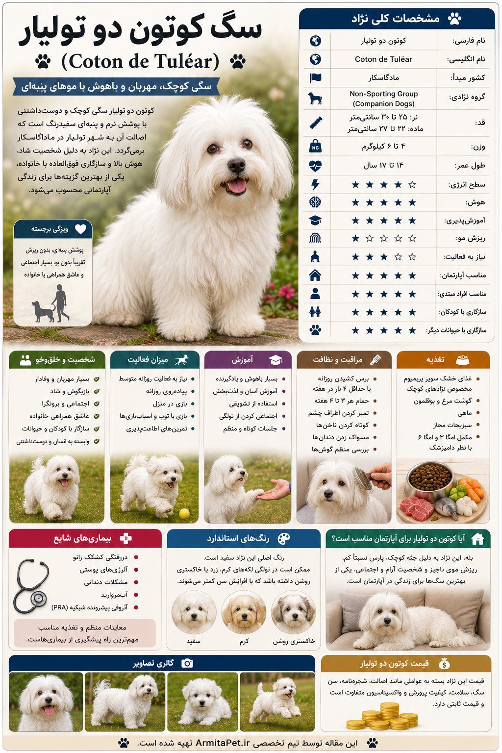 معرفی سگ کوتون دو تولیار.png