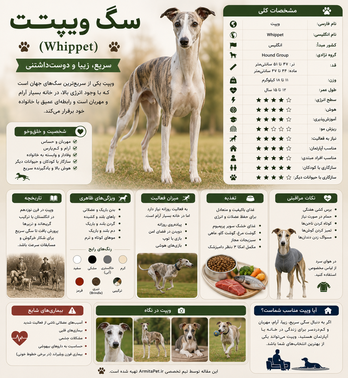 معرفی سگ ویپت.png