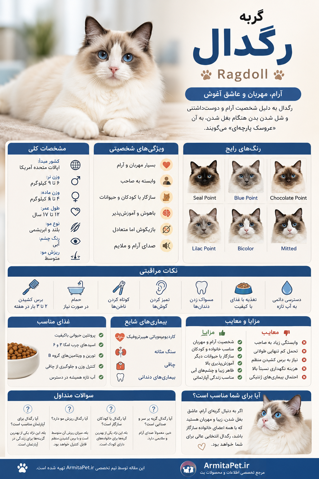 معرفی گربه رگدال.png