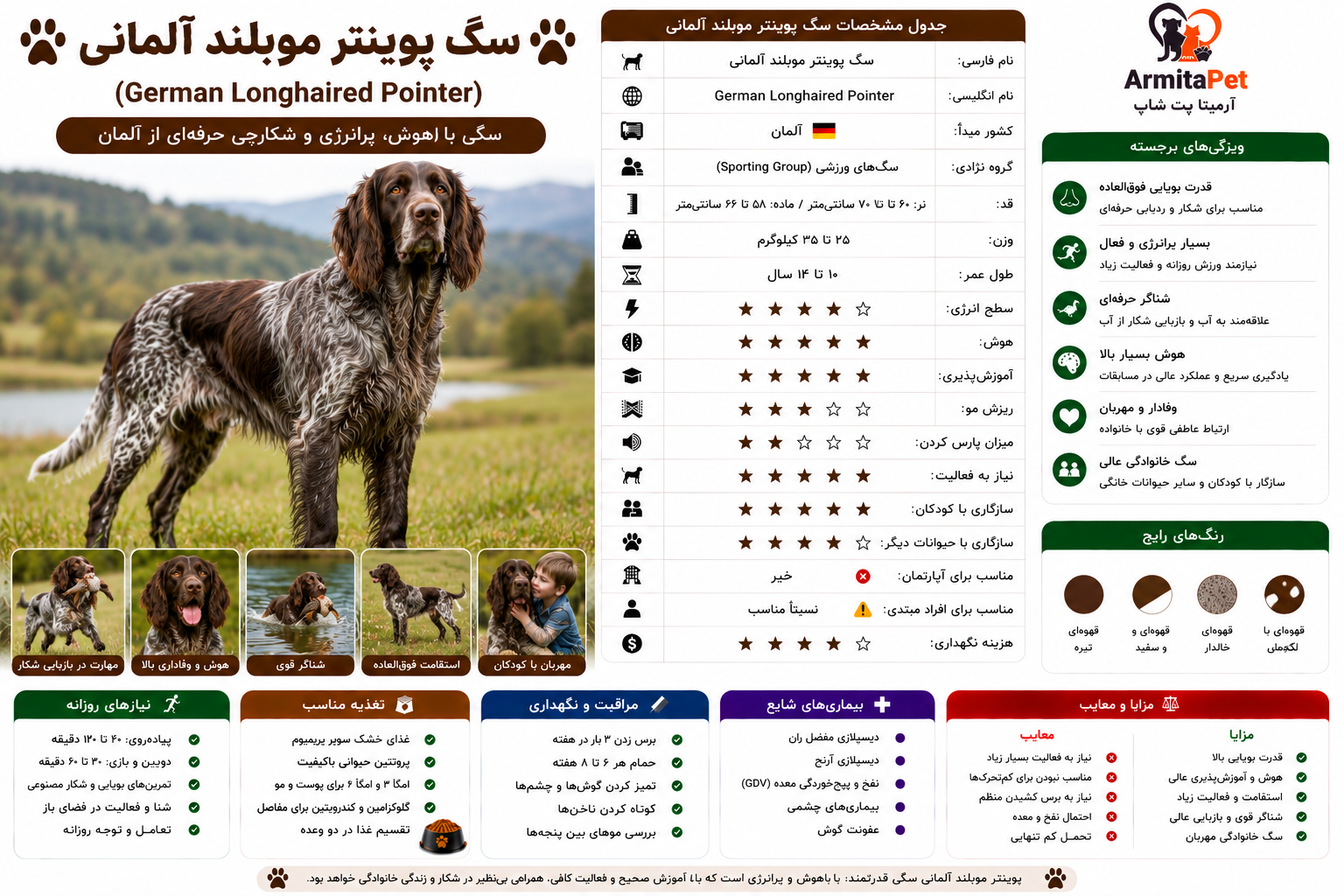 سگ پوینتر موبلند آلمانی.png