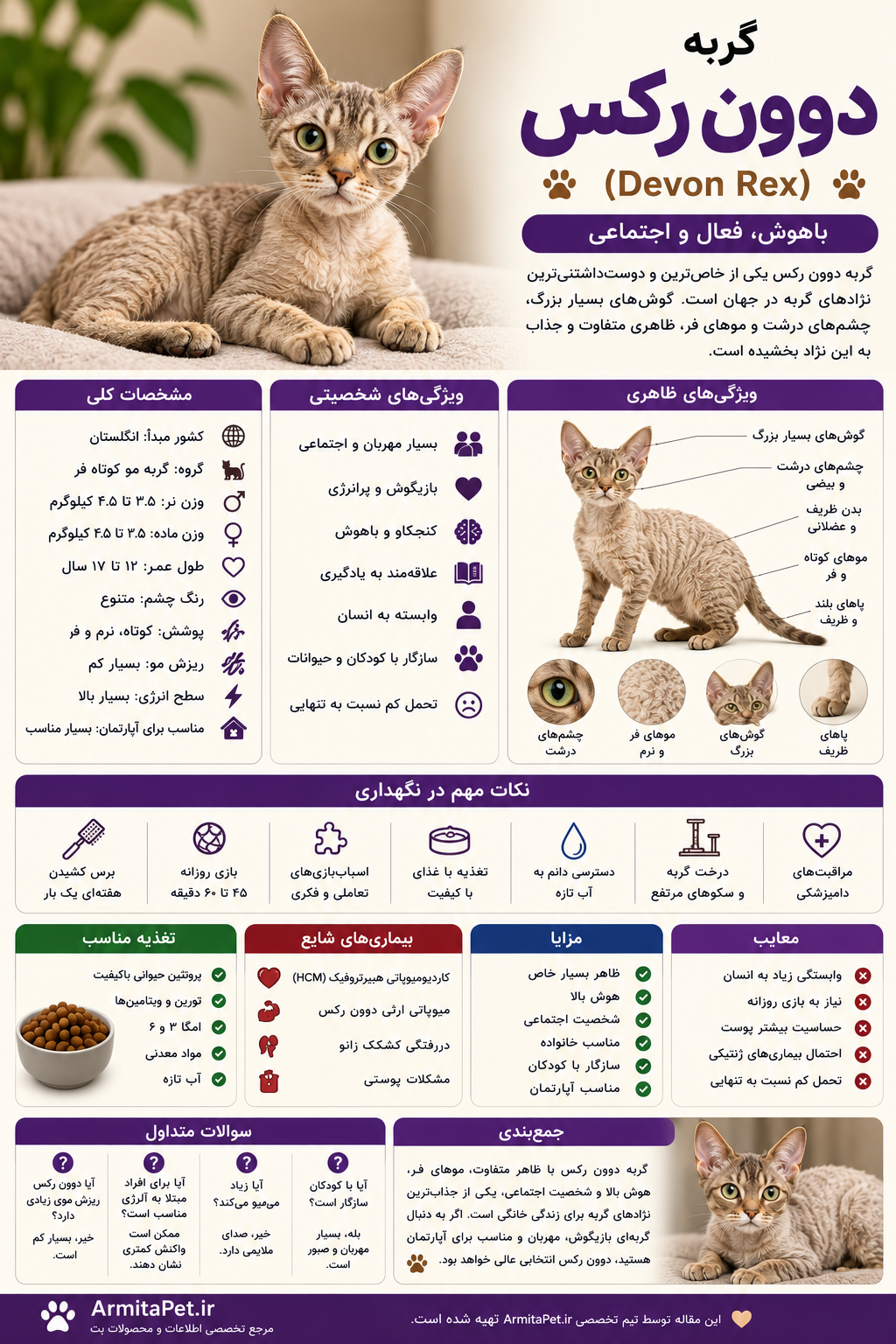 گربه دوون رکس.png