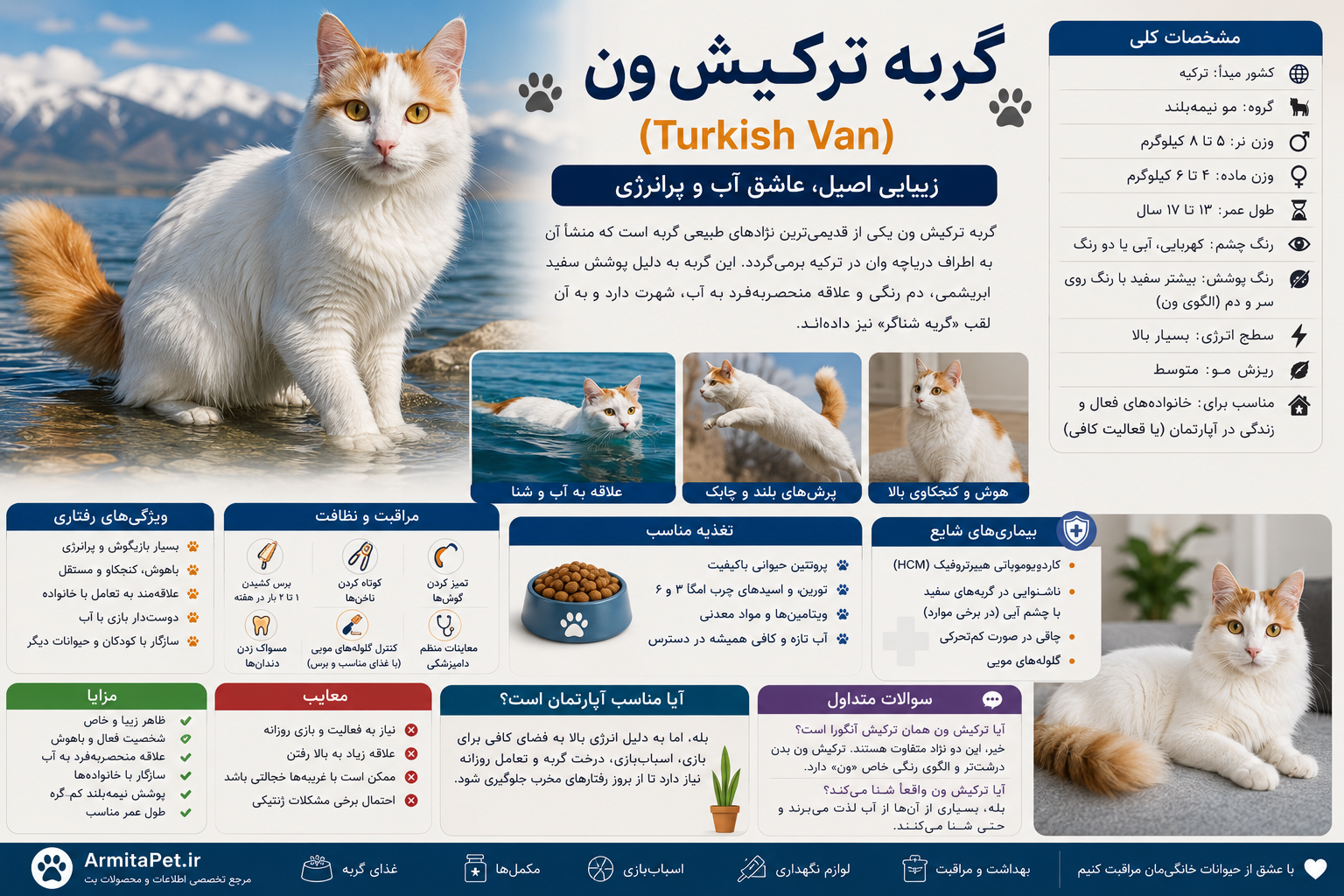 turkish-van-cat.png