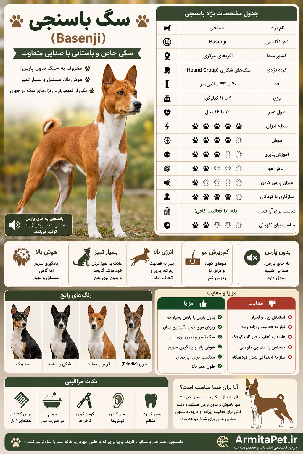 سگ باسنجی (Basenji).png