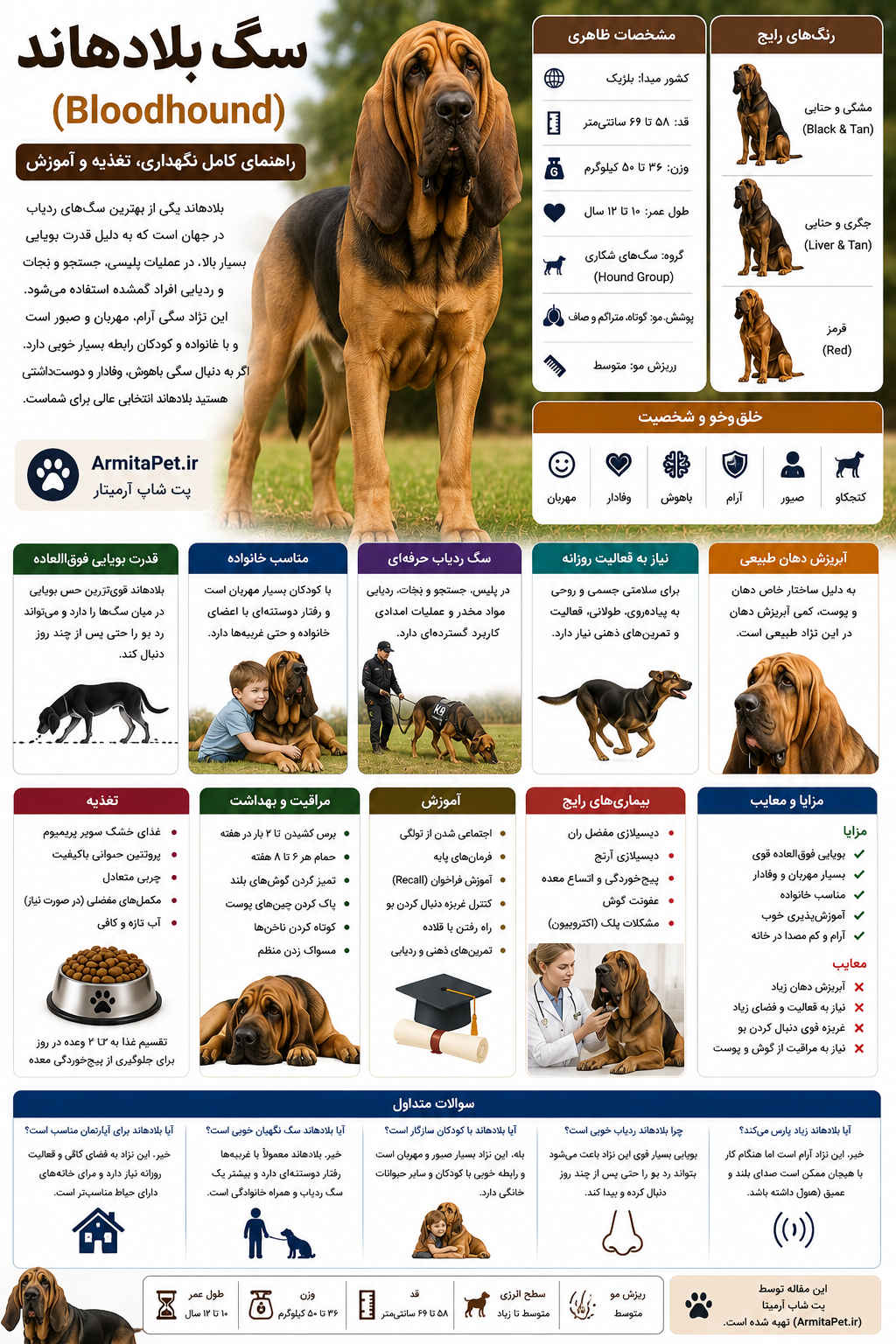سگ بلادهاند (Bloodhound).png